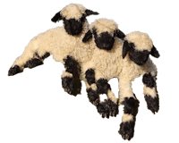 three black and white sheep laying down on a white background